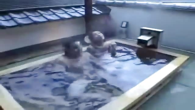 Amateur Asian hot tub action - Pornjam.com